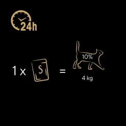 Økonomipakke: 40 x 40 g Sheba Classic Soup portionsposer