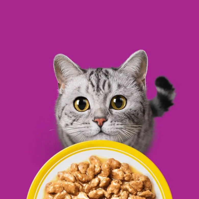 Økonomipakke: 96 x 85 g Whiskas 1+ Adult portionsposer