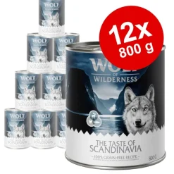 Økonomipakke: 12 x 800 g Wolf of Wilderness 