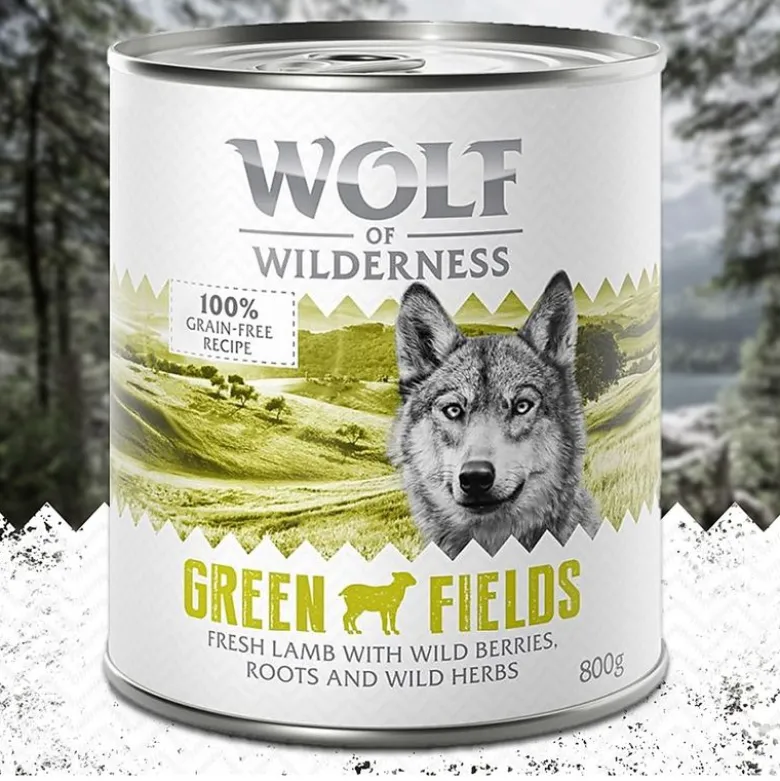 Økonomipakke: 24 x 800 g Wolf of Wilderness Adult