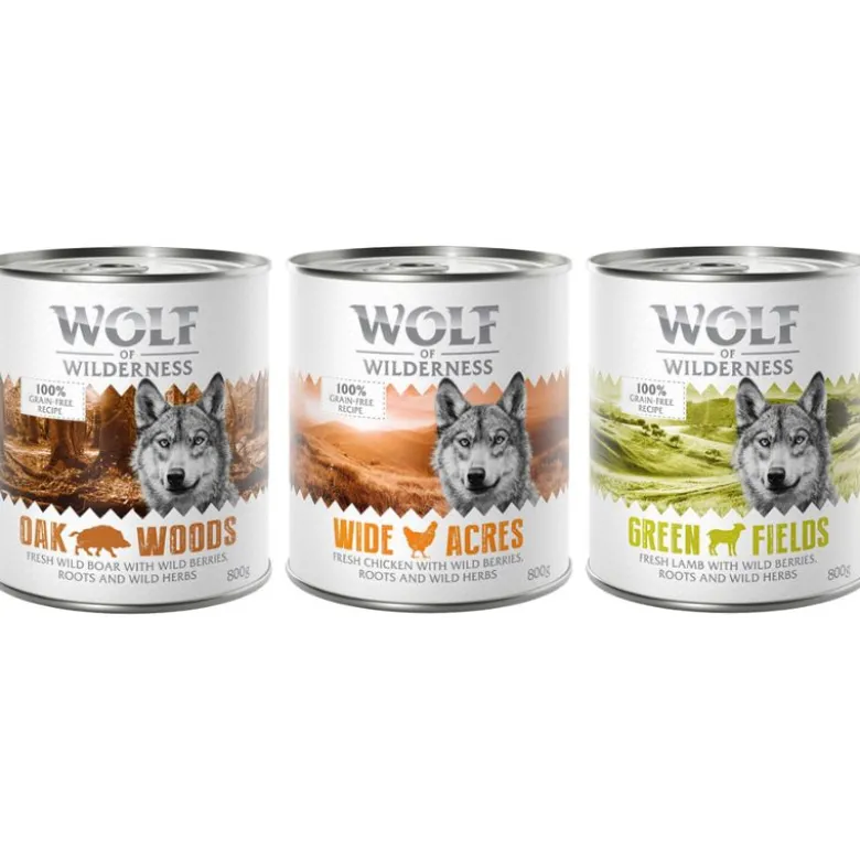 Økonomipakke: 24 x 800 g Wolf of Wilderness Adult