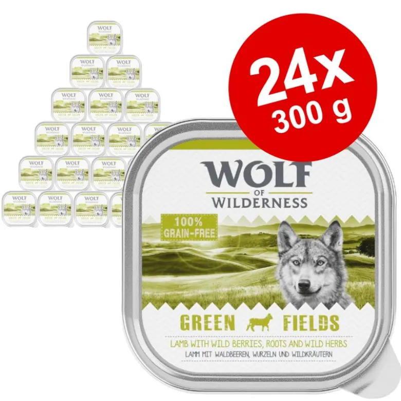 Økonomipakke: 24 x 300 g Wolf of Wilderness Adult