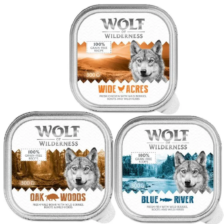 Økonomipakke: 24 x 300 g Wolf of Wilderness Adult