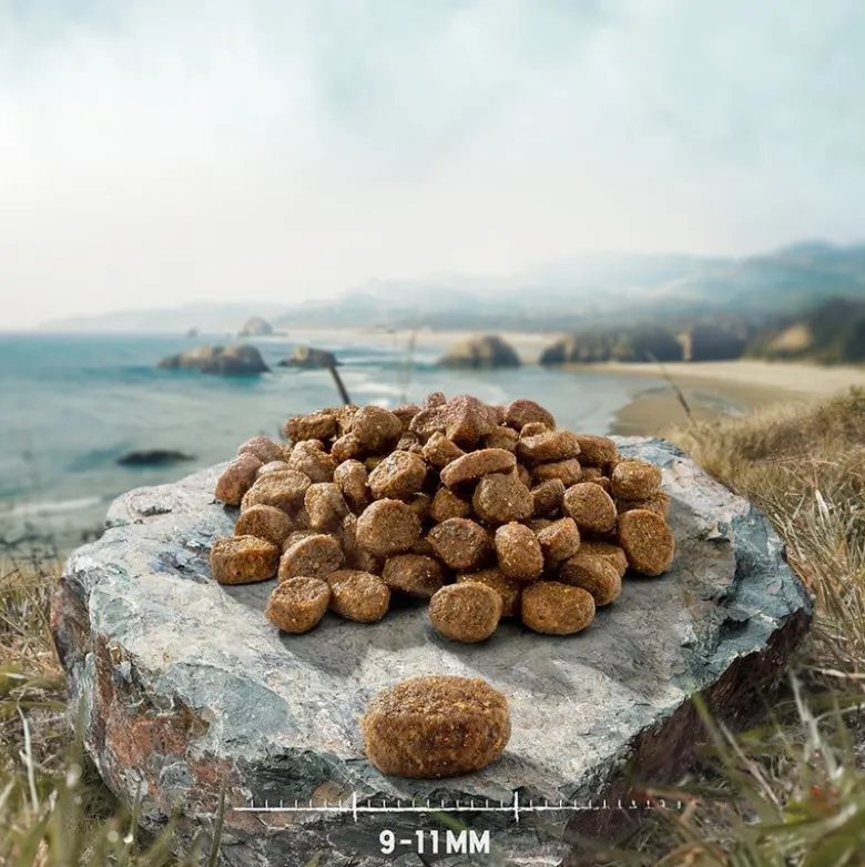 Økonomipakke: 2 x 6,5 kg Purizon tørfoder