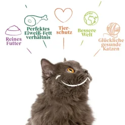 Økonomipakke Yarrah Økologisk 48 x 100 g