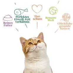 Økonomipakke Yarrah Økologisk 48 x 100 g
