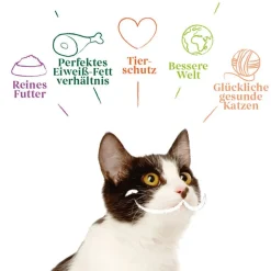 Økonomipakke Yarrah Økologisk 48 x 100 g