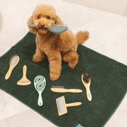 kooa badebørste til hunde