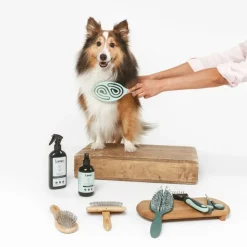 kooa badebørste til hunde