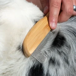 kooa bambuskam med roterende tænder