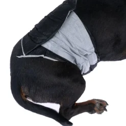 kooa bleer til hanhunde med bambus