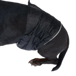 kooa bleer til hanhunde med bambus
