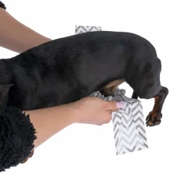 kooa bleer til hanhunde med trækul