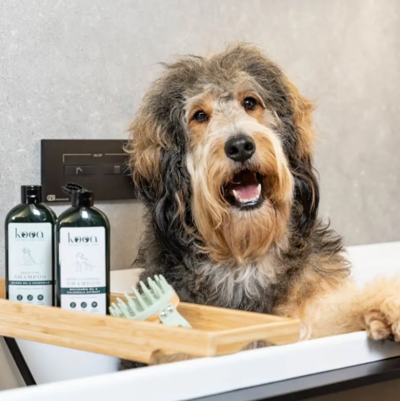 kooa deep cleansing shampoo