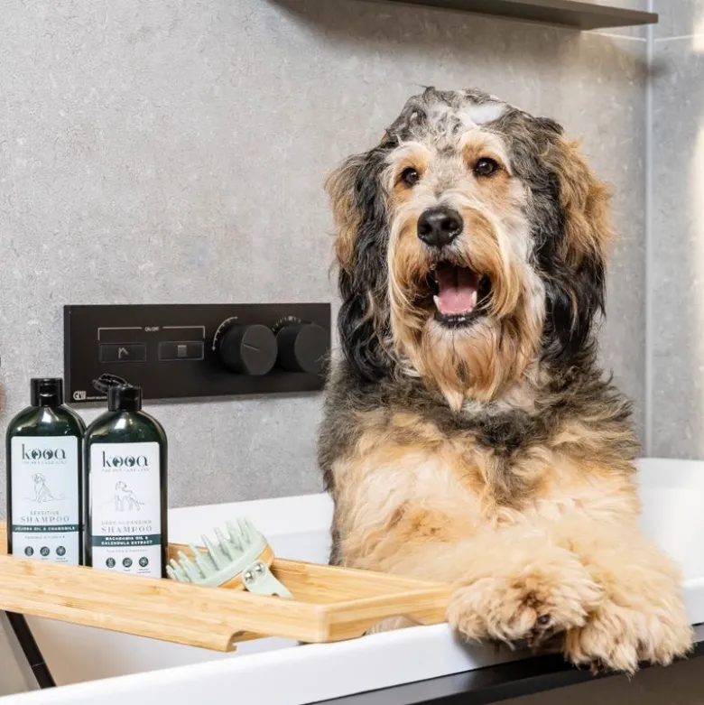 kooa deep cleansing shampoo