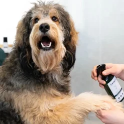 kooa Detangling Spray