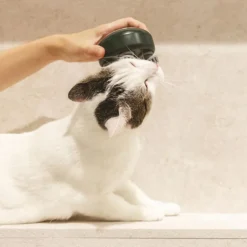 kooa massageapparat til kæledyr