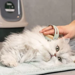 kooa Massagebørste til katte