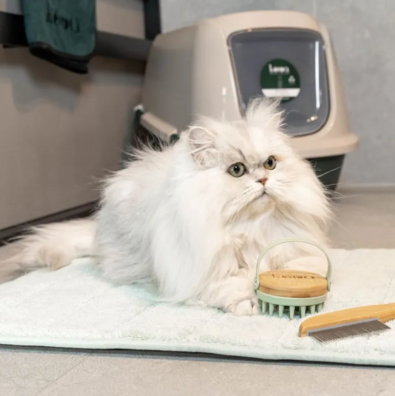kooa Massagebørste til katte