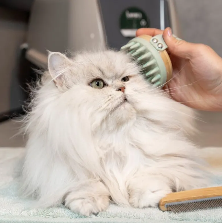 kooa Massagebørste til katte