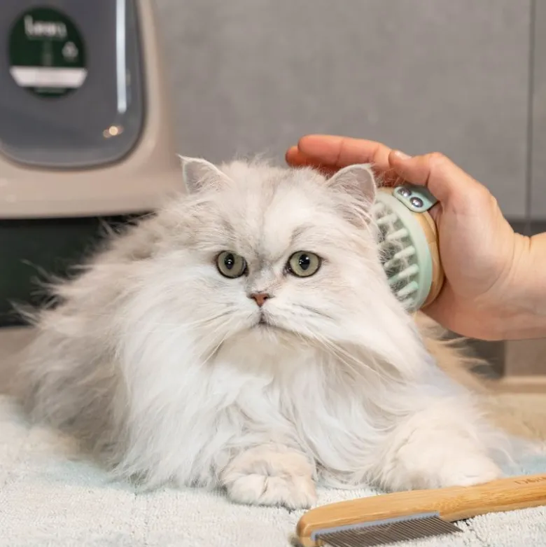 kooa Massagebørste til katte