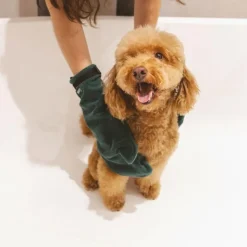 kooa paw rengøringsskum