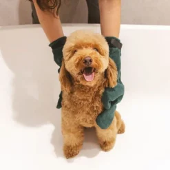 kooa paw rengøringsskum