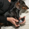 kooa poteplejespray til hunde