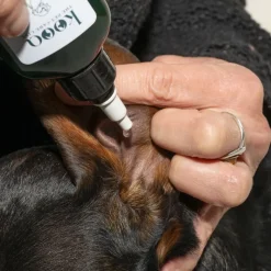 kooa ørerens til hunde