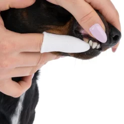 kooa tandplejefinger