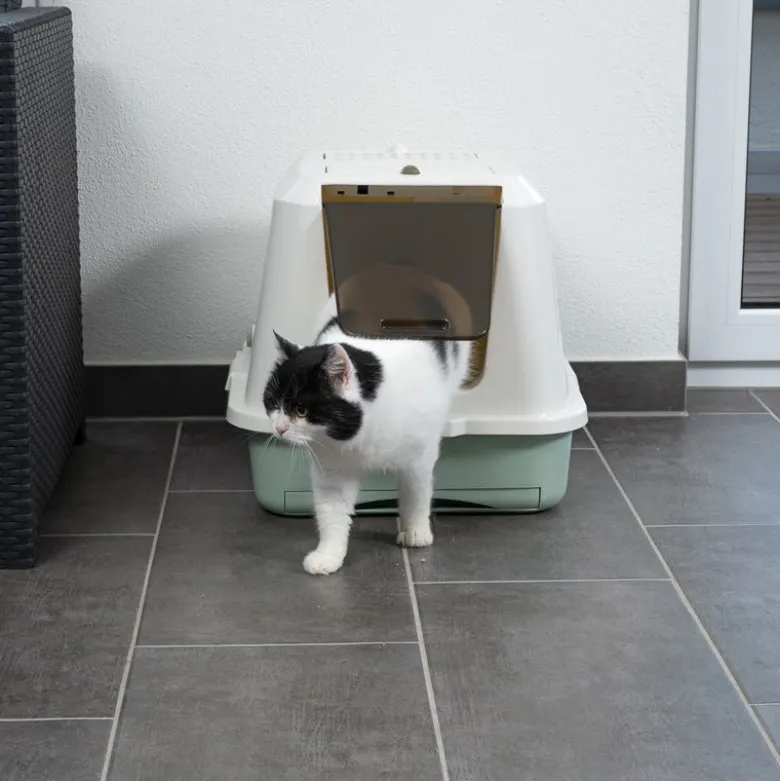 kooa toilet med økologisk kunststof
