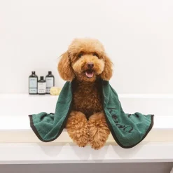 kooa tørshampoo