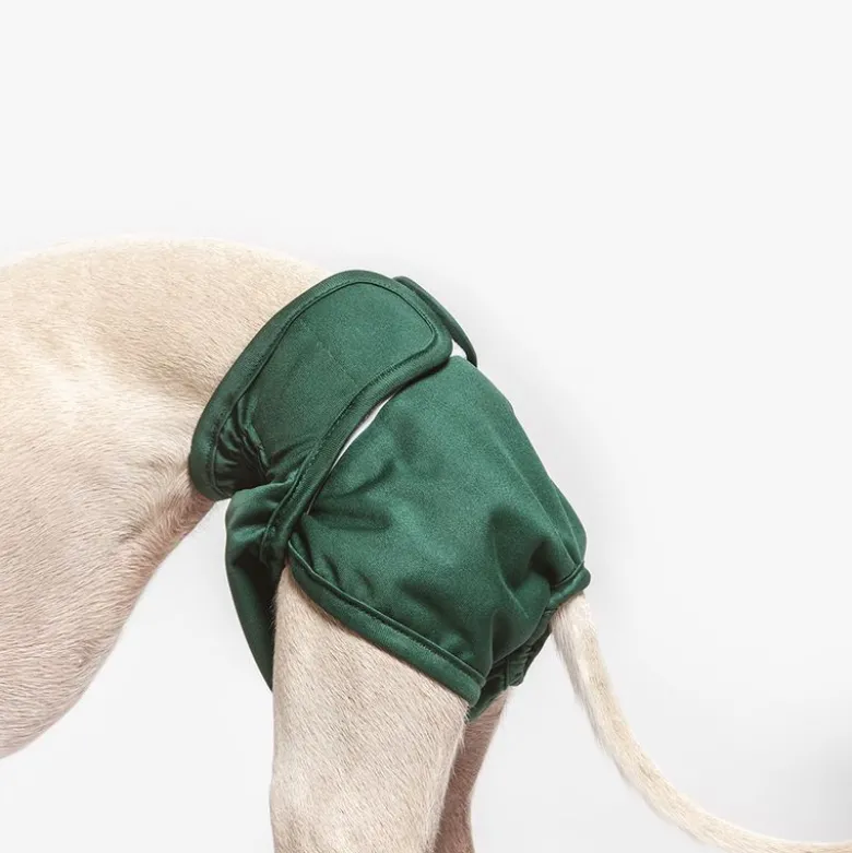kooa vaskbar ble til hanhunde