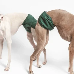 kooa vaskbar ble til hanhunde