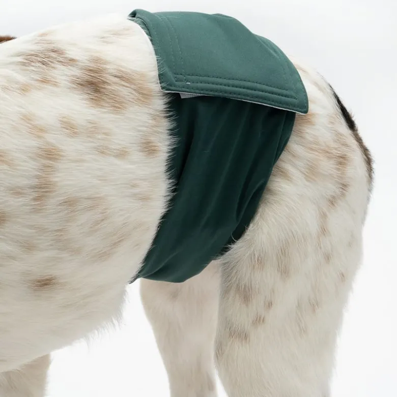 kooa vaskbar ble til hanhunde