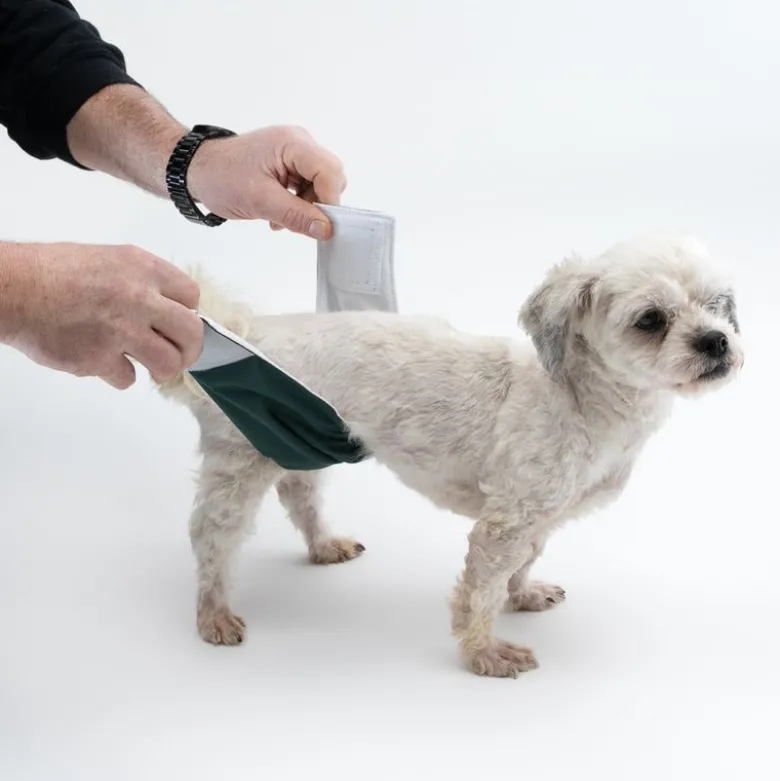 kooa vaskbar ble til hanhunde