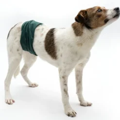 kooa vaskbar ble til hanhunde