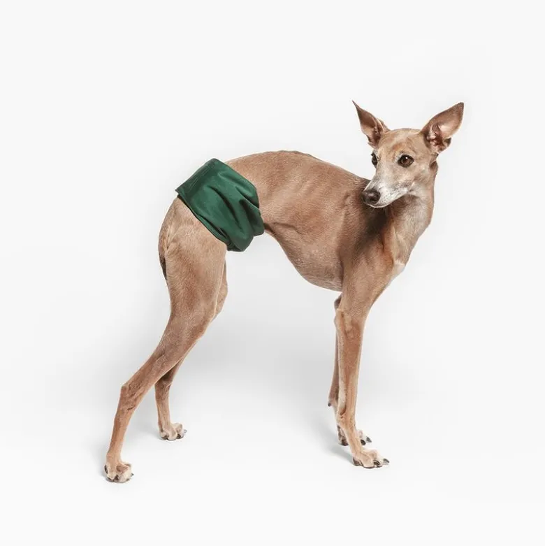 kooa vaskbar ble til hanhunde