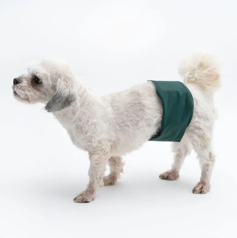 kooa vaskbar ble til hanhunde