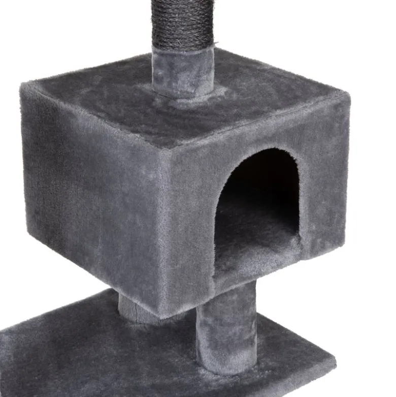 Kradsetræ Nox