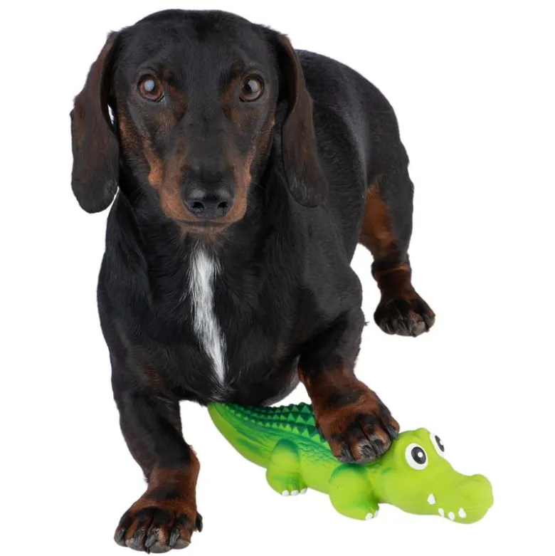 Latex Crocodylus Pivelegetøj