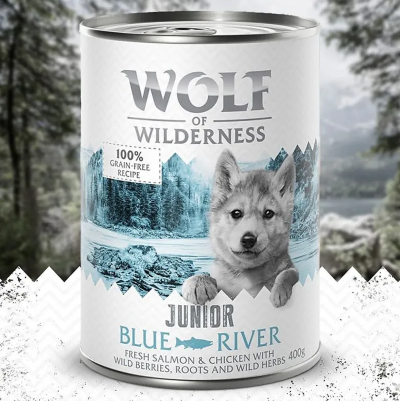 Little Wolf of Wilderness 6 x 400 g - Duo-Protein