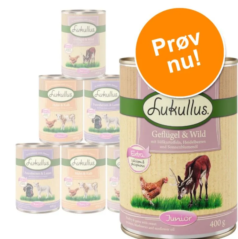 Lukullus Naturkost Junior - Blandede prøvepakker