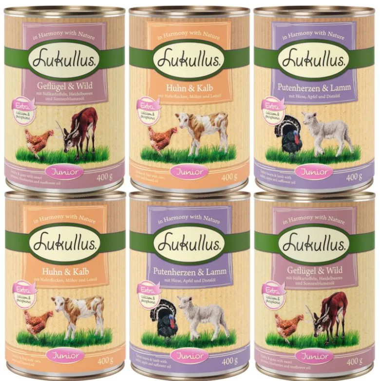 Lukullus Naturkost 12 x 400 g