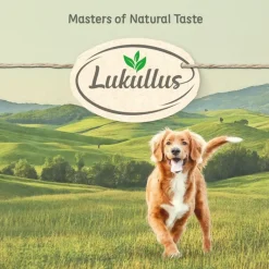 Lukullus Vitality Digestion: Kylling (kornfri)