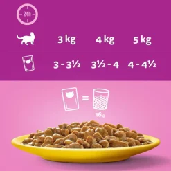 Megapakke: 144 x 85 g Whiskas Senior portionsposer