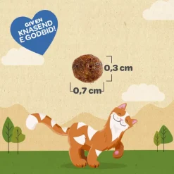 Meowee! Sprøde kyllingekiks