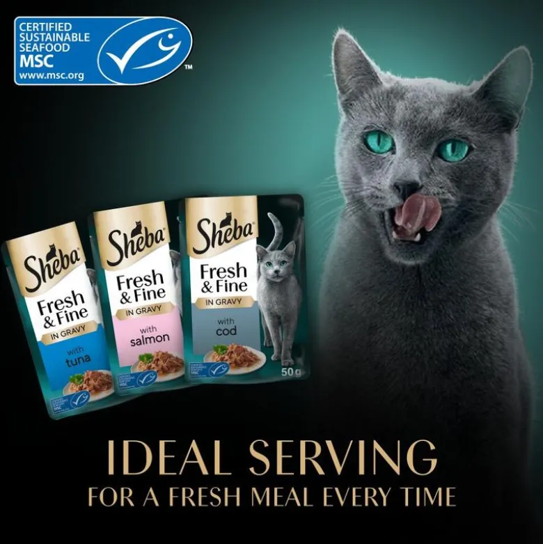 Mixpakke Sheba Fresh Fine fresh portionsposer 50 x 50 g