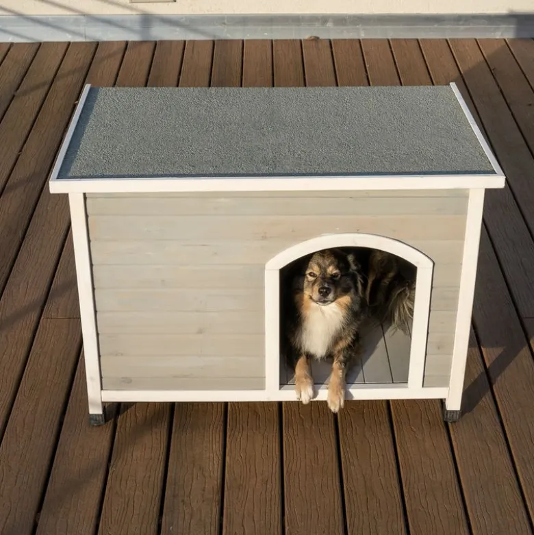Moderne Living Bergen Foldbar Hundehytte