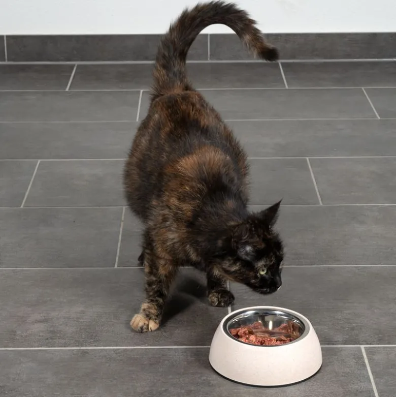 Modern Living bæredygtig skål Sichuan til katte